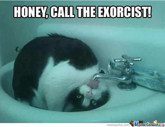 honey-call-the-exorcist_o_1197659